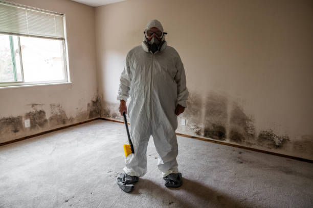 Best Industrial Mold Remediation  in Scotts Valley, CA